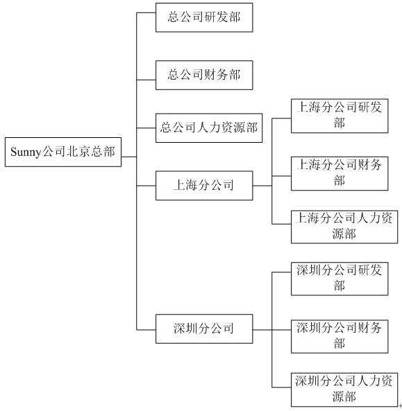 Sunny公司组织结构图